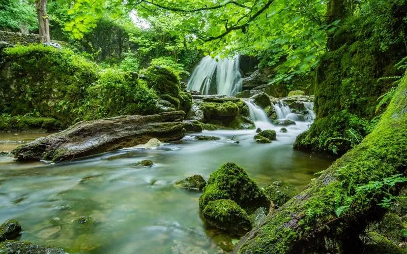 独特稳定性高性能